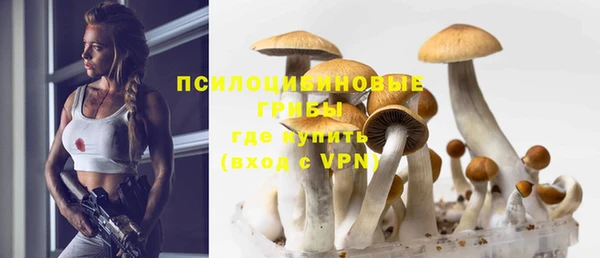 МДМА Приозерск