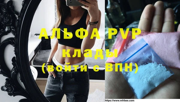 ПСИЛОЦИБИНОВЫЕ ГРИБЫ Шали