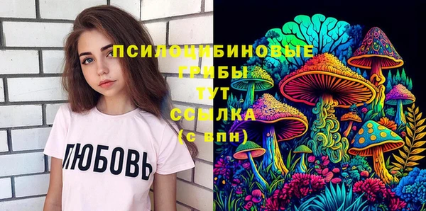 МДМА Приозерск