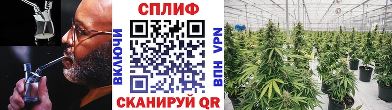 Каннабис план  наркотики  Свирск 